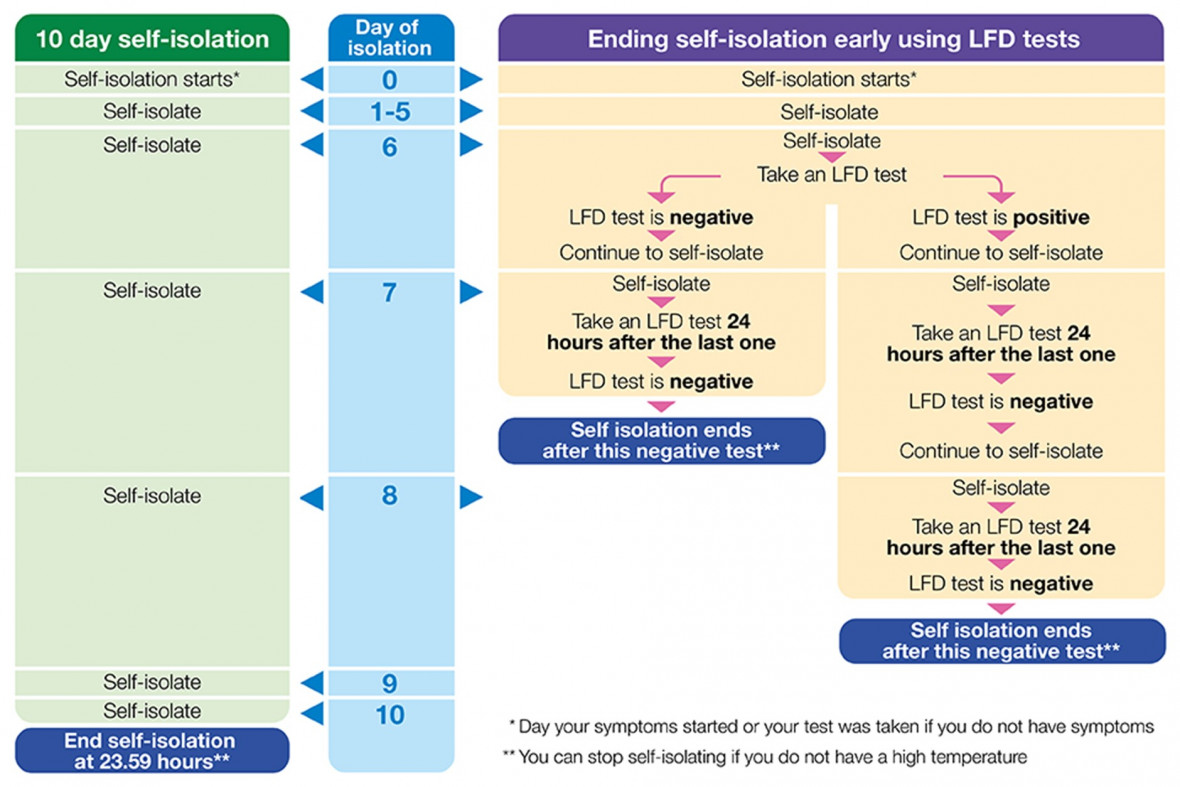 isolation-flow-chart-jan-22